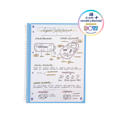 OXFORD TOUCH Europeanbook 1 - A4+ - Tapa Extradura - Cuaderno espiral microperforado - Dots - 80 Hojas - SCRIBZEE - SURTIDO - 400184540_1200_1706001911 - OXFORD TOUCH Europeanbook 1 - A4+ - Tapa Extradura - Cuaderno espiral microperforado - Dots - 80 Hojas - SCRIBZEE - SURTIDO - 400184540_1100_1709651321 - OXFORD TOUCH Europeanbook 1 - A4+ - Tapa Extradura - Cuaderno espiral microperforado - Dots - 80 Hojas - SCRIBZEE - SURTIDO - 400184540_1101_1709651316 - OXFORD TOUCH Europeanbook 1 - A4+ - Tapa Extradura - Cuaderno espiral microperforado - Dots - 80 Hojas - SCRIBZEE - SURTIDO - 400184540_1102_1709651329 - OXFORD TOUCH Europeanbook 1 - A4+ - Tapa Extradura - Cuaderno espiral microperforado - Dots - 80 Hojas - SCRIBZEE - SURTIDO - 400184540_1103_1709651342 - OXFORD TOUCH Europeanbook 1 - A4+ - Tapa Extradura - Cuaderno espiral microperforado - Dots - 80 Hojas - SCRIBZEE - SURTIDO - 400184540_1104_1709651331 - OXFORD TOUCH Europeanbook 1 - A4+ - Tapa Extradura - Cuaderno espiral microperforado - Dots - 80 Hojas - SCRIBZEE - SURTIDO - 400184540_1500_1709651347
