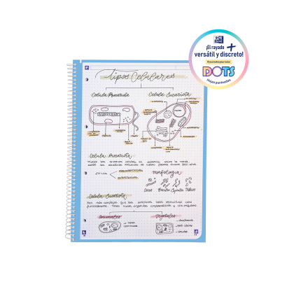 OXFORD TOUCH Europeanbook 1 - A5+ - Tapa Extradura - Cuaderno espiral microperforado - Dots - 80 Hojas - SCRIBZEE - SURTIDO - 400184541_1200_1706001915 - OXFORD TOUCH Europeanbook 1 - A5+ - Tapa Extradura - Cuaderno espiral microperforado - Dots - 80 Hojas - SCRIBZEE - SURTIDO - 400184541_1100_1709651370 - OXFORD TOUCH Europeanbook 1 - A5+ - Tapa Extradura - Cuaderno espiral microperforado - Dots - 80 Hojas - SCRIBZEE - SURTIDO - 400184541_1101_1709651367 - OXFORD TOUCH Europeanbook 1 - A5+ - Tapa Extradura - Cuaderno espiral microperforado - Dots - 80 Hojas - SCRIBZEE - SURTIDO - 400184541_1102_1709651373 - OXFORD TOUCH Europeanbook 1 - A5+ - Tapa Extradura - Cuaderno espiral microperforado - Dots - 80 Hojas - SCRIBZEE - SURTIDO - 400184541_1103_1709651378 - OXFORD TOUCH Europeanbook 1 - A5+ - Tapa Extradura - Cuaderno espiral microperforado - Dots - 80 Hojas - SCRIBZEE - SURTIDO - 400184541_1104_1709651377 - OXFORD TOUCH Europeanbook 1 - A5+ - Tapa Extradura - Cuaderno espiral microperforado - Dots - 80 Hojas - SCRIBZEE - SURTIDO - 400184541_1500_1709651377