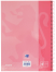 OXFORD CLASSIC Europeanbook 1 - A4+ - Tapa Extradura - Cuaderno espiral microperforado - 5x5 - 80 Hojas - SCRIBZEE- ROSA CHICLE - 400040984_1100_1701172061 - OXFORD CLASSIC Europeanbook 1 - A4+ - Tapa Extradura - Cuaderno espiral microperforado - 5x5 - 80 Hojas - SCRIBZEE- ROSA CHICLE - 400040984_4100_1677171227 - OXFORD CLASSIC Europeanbook 1 - A4+ - Tapa Extradura - Cuaderno espiral microperforado - 5x5 - 80 Hojas - SCRIBZEE- ROSA CHICLE - 400040984_4703_1677171236 - OXFORD CLASSIC Europeanbook 1 - A4+ - Tapa Extradura - Cuaderno espiral microperforado - 5x5 - 80 Hojas - SCRIBZEE- ROSA CHICLE - 400040984_4702_1677171238 - OXFORD CLASSIC Europeanbook 1 - A4+ - Tapa Extradura - Cuaderno espiral microperforado - 5x5 - 80 Hojas - SCRIBZEE- ROSA CHICLE - 400040984_2600_1677253960 - OXFORD CLASSIC Europeanbook 1 - A4+ - Tapa Extradura - Cuaderno espiral microperforado - 5x5 - 80 Hojas - SCRIBZEE- ROSA CHICLE - 400040984_2302_1686100517 - OXFORD CLASSIC Europeanbook 1 - A4+ - Tapa Extradura - Cuaderno espiral microperforado - 5x5 - 80 Hojas - SCRIBZEE- ROSA CHICLE - 400040984_2301_1686100506 - OXFORD CLASSIC Europeanbook 1 - A4+ - Tapa Extradura - Cuaderno espiral microperforado - 5x5 - 80 Hojas - SCRIBZEE- ROSA CHICLE - 400040984_2300_1686100514 - OXFORD CLASSIC Europeanbook 1 - A4+ - Tapa Extradura - Cuaderno espiral microperforado - 5x5 - 80 Hojas - SCRIBZEE- ROSA CHICLE - 400040984_2500_1686209918