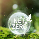 My European Net Zero