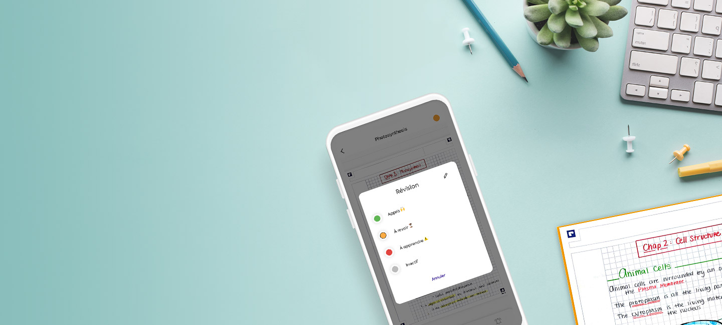 scribzee app
